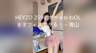 HEYZO 2593 ポチャかわOLをオフィスでヤる！ – 青山未来