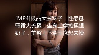 [MP4]极品大圈妹子，性感包臀裙大长腿，坐身上摩擦揉捏奶子，美臀上下套弄抱起来操