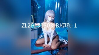 ZL20230303-BJ伊利-1