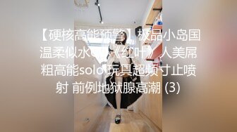 【硬核高能预警】极品小岛国温柔似水CD《红叶》人美屌粗高能solo 玩具超频寸止喷射 前例地狱腺高潮 (3)