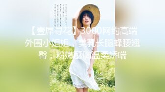 【壹屌寻花】3000网约高端外围小姐姐，美乳长腿蜂腰翘臀，粉嫩酥胸温柔娇喘