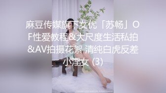 麻豆传媒旗下女优「苏畅」OF性爱教程&大尺度生活私拍&AV拍摄花絮 清纯白虎反差小淫女 (3)