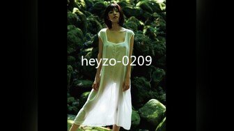 heyzo-0209