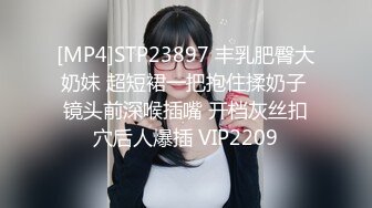 [MP4]STP23897 丰乳肥臀大奶妹 超短裙一把抱住揉奶子 镜头前深喉插嘴 开档灰丝扣穴后人爆插 VIP2209