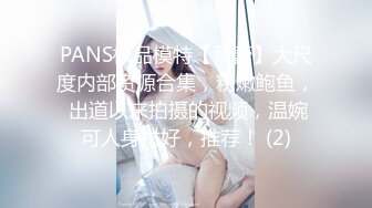 PANS极品模特【蕾蕾】大尺度内部资源合集，粉嫩鲍鱼， 出道以来拍摄的视频，温婉可人身材好，推荐！ (2)