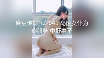 麻豆传媒 TZ-041 岛国女仆为你服务 中野惠子