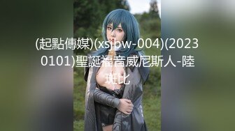 (起點傳媒)(xsjbw-004)(20230101)聖誕福音威尼斯人-陸斑比