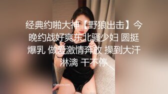 经典约啪大神【野狼出击】今晚约战好爽东北骚少妇 圆挺爆乳 做爱激情奔放 操到大汗淋漓 干不停