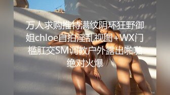 万人求购推特满纹阴环狂野御姐chloe自拍淫乱视图+WX门槛肛交SM调教户外露出啪啪绝对火爆