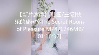 【新片速遞】[韩国/三级]快乐的秘密室The Secret Room of Pleasure[MP4/1746MB/01:16:32]