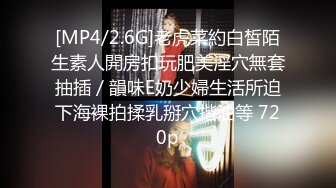 [MP4/2.6G]老虎菜約白皙陌生素人開房扣玩肥美淫穴無套抽插／韻味E奶少婦生活所迫下海裸拍揉乳掰穴揩油等 720p