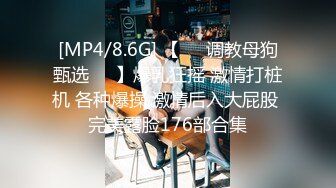 [MP4/8.6G] 【❤️调教母狗甄选❤️】爆乳狂摇 激情打桩机 各种爆操 激情后入大屁股 完美露脸176部合集