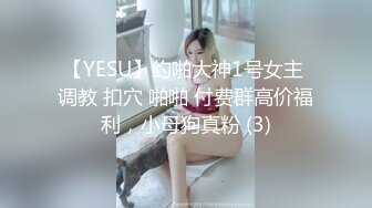 【YESU】约啪大神1号女主 调教 扣穴 啪啪 付费群高价福利，小母狗真粉 (3)