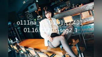 o111na_vip-01.01.17.401-01.16.32.205-seg2_1