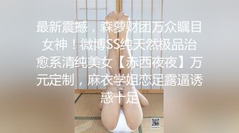 女搜查官特殊手段